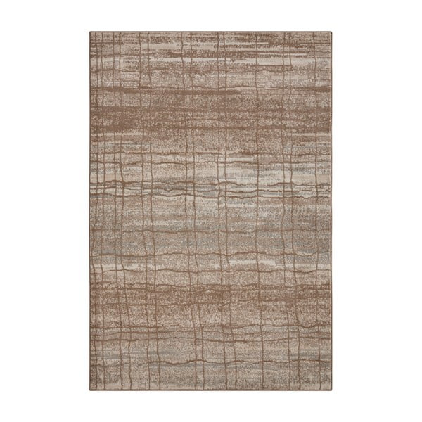 Brązowo-beżowy dywan 340x240 cm Terrain – Hanse Home