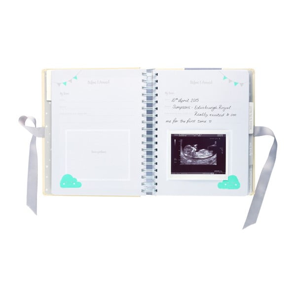 Pamiętnik ciążowy Busy B Pregnancy Journal-image-4