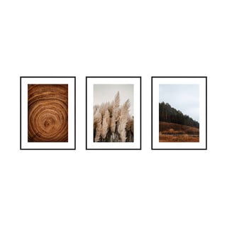 Obrazy zestaw 3 szt. 30x40 cm Woods