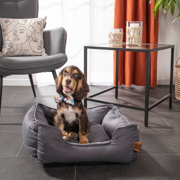 Niebieskie legowisko dla psów 50x55 cm – Love Story-image-3