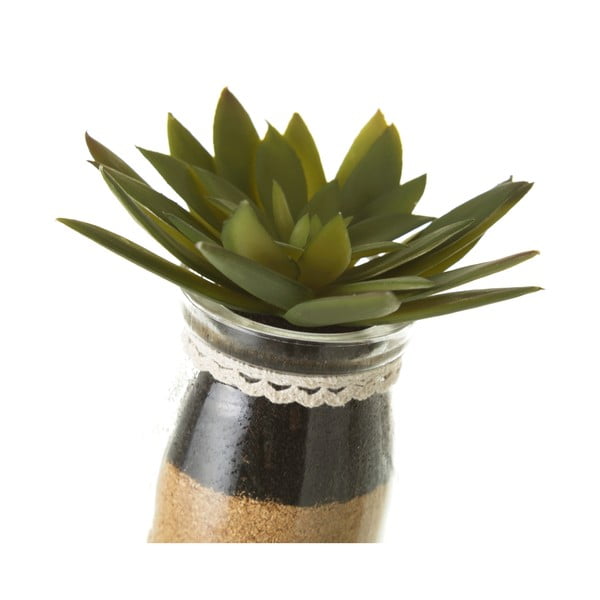 Sztuczne rośliny zestaw 4 szt. (wysokość 18 cm) Cactus – Casa Selección-image-3