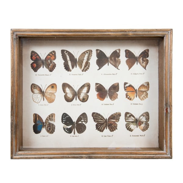 Obraz Clayre & Eef Butterflies Collection, 35x28 cm