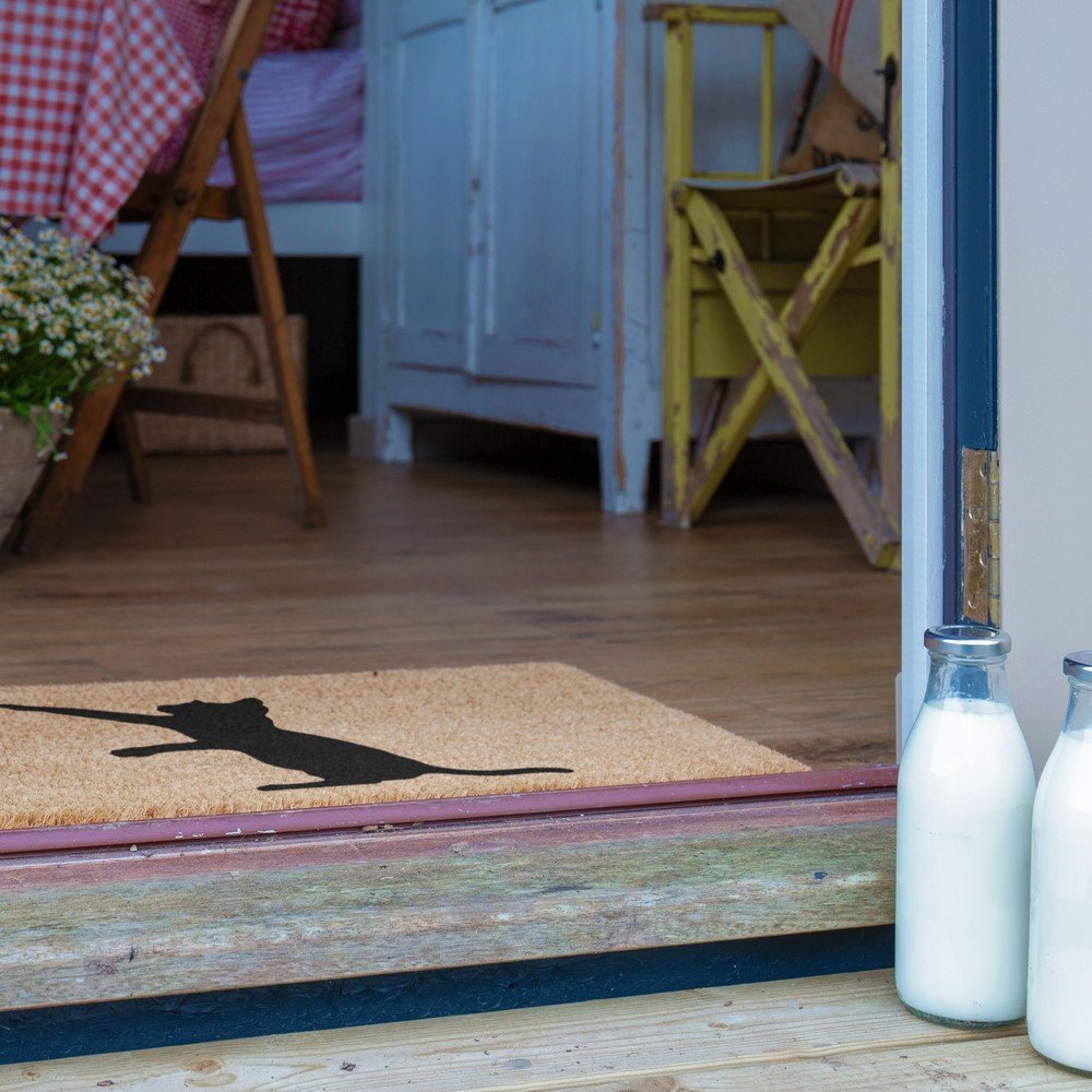 Wycieraczka z włókna kokosowego 40x60 cm Cat – Artsy Doormats (zdjęcie 8)