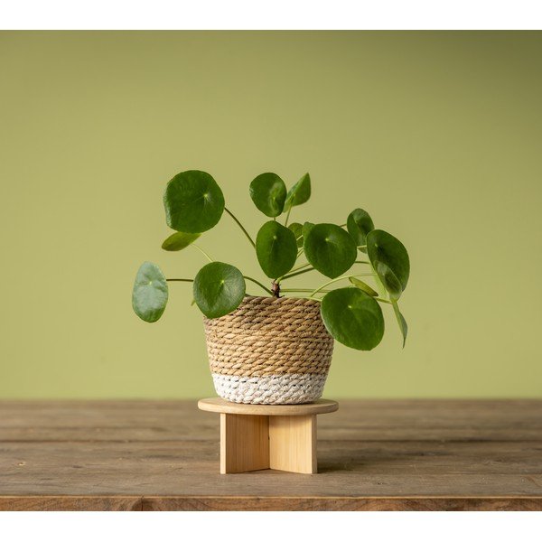 Bambusowy kwietnik ø 18 cm – Esschert Design-image-3