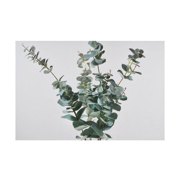 Sztuczny eukaliptus (wysokość 71 cm) Kvist – Villa Collection-image-1