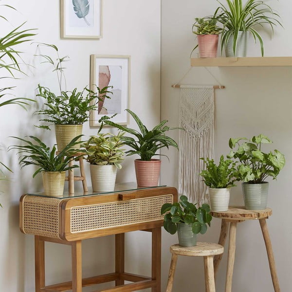 Doniczka ceramiczna ø 19 cm Canberra Effekt – Big pots-image-1