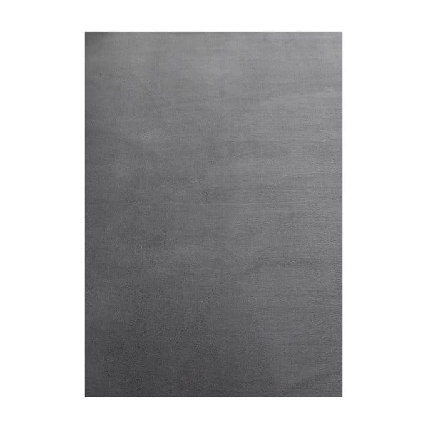 Szary dywan odpowiedni do prania 120x170 cm Sky – Ayyildiz Carpets