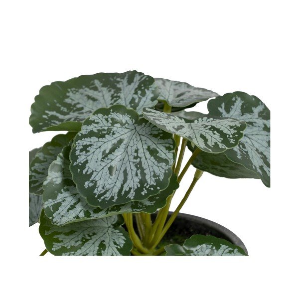 Sztuczna roślina (wysokość 21,5 cm) Saxifraga – Ixia-image-1