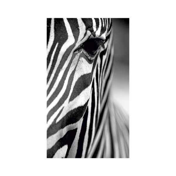 Obraz Black&White no. 8, 41x70 cm
