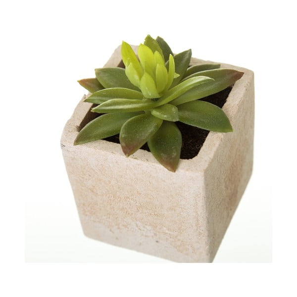 Sztuczne rośliny zestaw 6 szt. (wysokość 9,5 cm) Cactus – Casa Selección-image-1