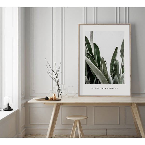 Obraz 50x70 cm Strelitzia – Styler-image-1