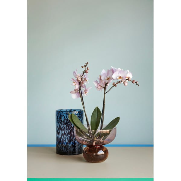 Zestaw 2 szklanych wazonów Hübsch Hazy-image-1