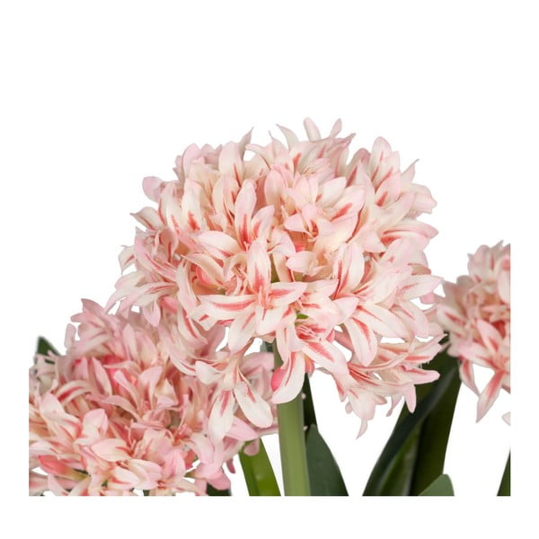 Sztuczny kwiat (wysokość 100 cm) Hyacinth – Ixia-image-1