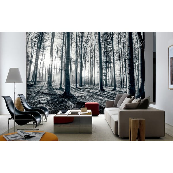 Tapeta wielkoformatowa Głęboki las, 366x254 cm