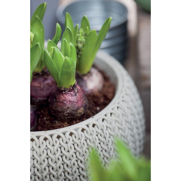 Plastikowa wisząca i ścienna doniczka ø 28 cm Cozy – Keter-image-4