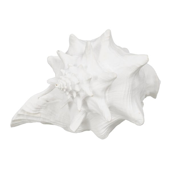 Figurka z żywicy polimerowej (wysokość 13 cm) Seashell – Ixia