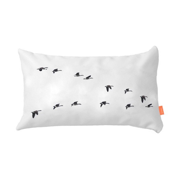 Zestaw 2 bawełnianych poszewek na poduszki Blanc Trip-image-4