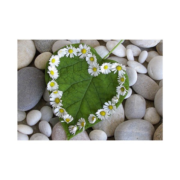 Wycieraczka/dywanik/mata Zerbelli Aretto, 75x52 cm-image-2