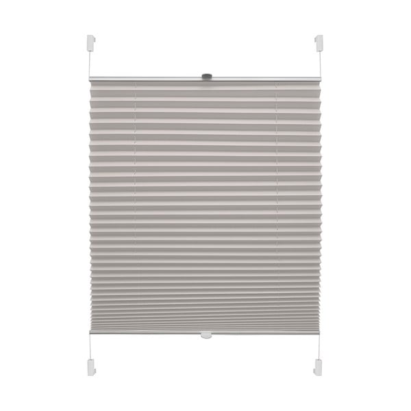 Szara roleta 72,5x150 cm Plisé Verona – Gardinia