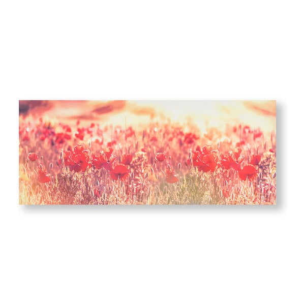 Obraz Graham & Brown Peaceful Poppy Fields, 100x40 cm