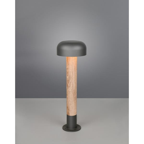 Lampa zewnętrzna typu słupek ø 19 cm Fraser – Trio-image-1