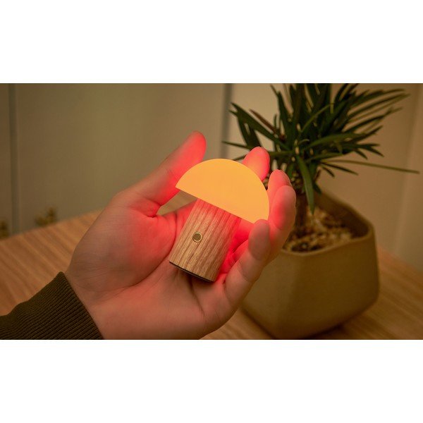 Lampa stołowa LED ze ściemniaczem z litego drewna jesionowego (wysokość 7 cm) Alice – Gingko-image-4