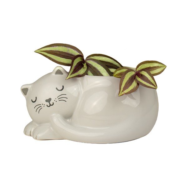 Ceramiczna osłonka na doniczkę Sleeping Cat – Sass & Belle-image-1