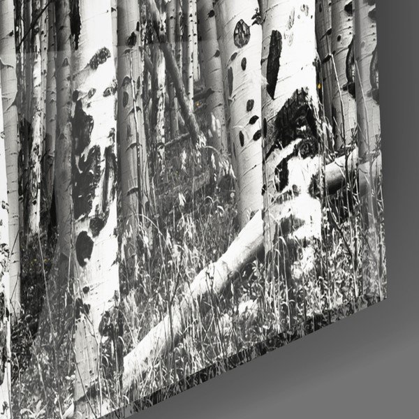 Szklany obraz Insigne Yellow Forest, 110x70 cm-image-2