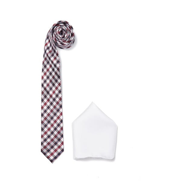Zestaw krawata i poszetki Ferruccio Laconi 12