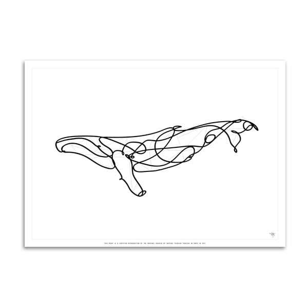 Plakat Humpback Whale-image-4