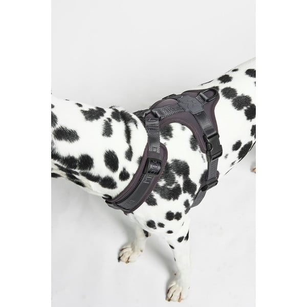 Ciemnoszare szelki dla zwierząt w rozmiarze L długość 42 cm Modena Asphalt L – MiaCara-image-3