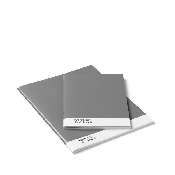 Komplet 2 szarych notesów Pantone