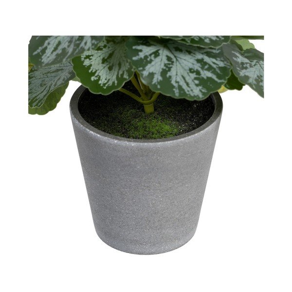 Sztuczna roślina (wysokość 21,5 cm) Saxifraga – Ixia-image-2