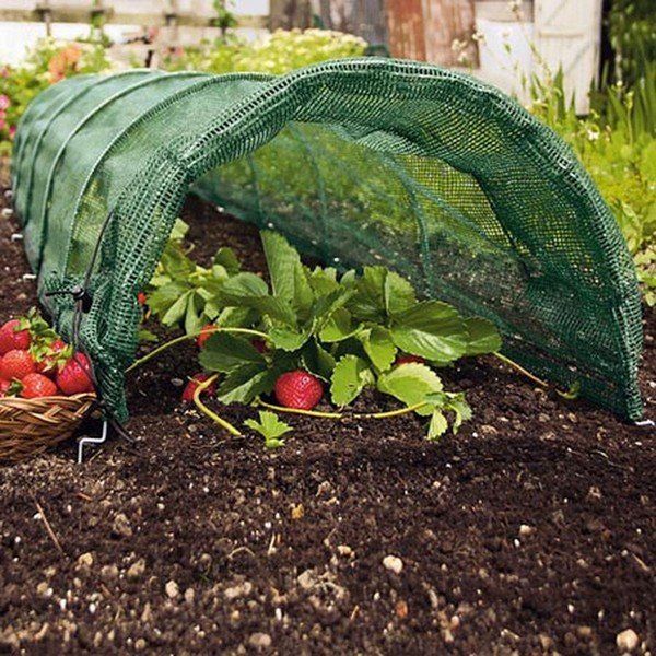 Włóknina ogrodowa – Garden Pleasure-image-1