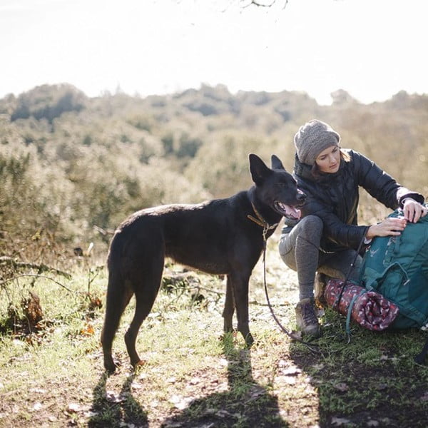 Brązowe legowisko podróżne dla psów 45x60 cm Outdoor Chill Pad Mocha S – P.L.A.Y.-image-2