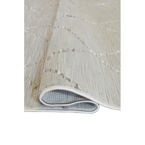 Szary dywan 80x150 cm Jaipur – Webtappeti-image-2
