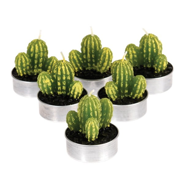Zestaw 6 tealight w kształcie kaktusa Rex London Desert In Bloom