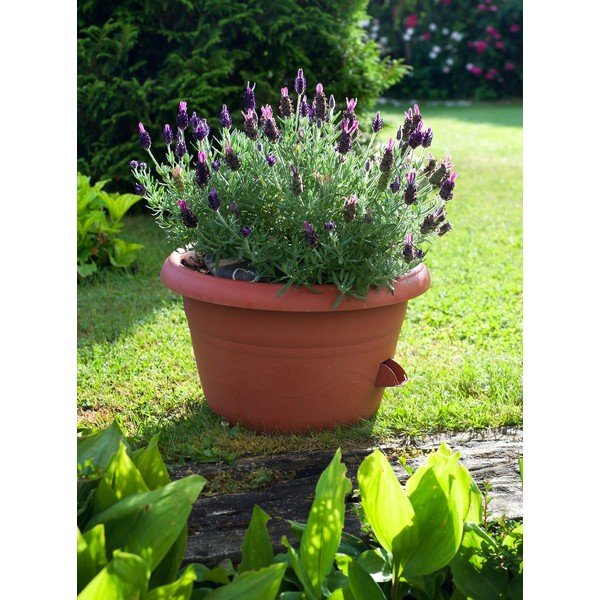 Brązowa doniczka z systemem nawadniania Plastia Siesta, ø 25 cm-image-1