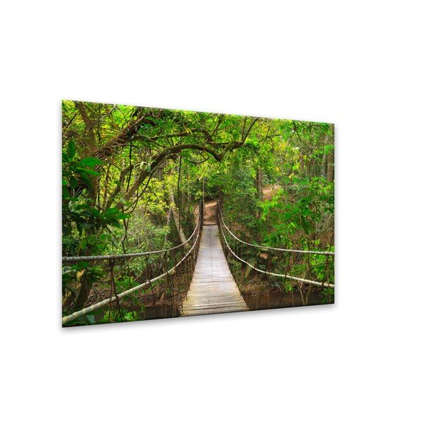 Obraz Styler Glas Nature Forest Bridge, 80x120 cm-image-1