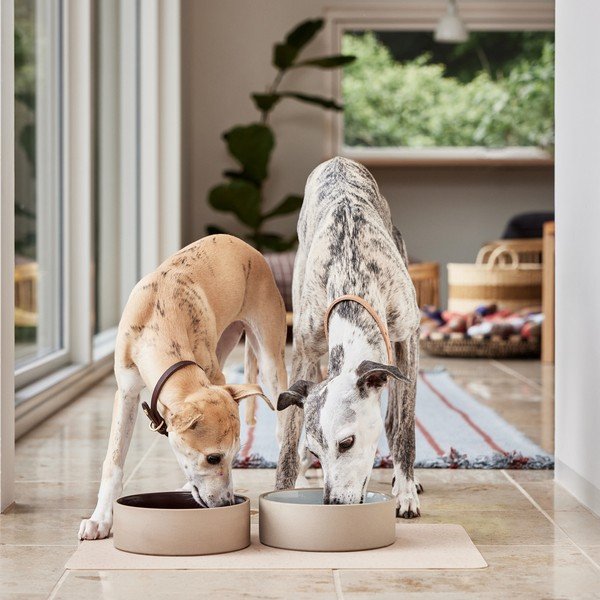 Miska dla psów ceramiczna ø 17 cm Sia – OYOY Living Design-image-3