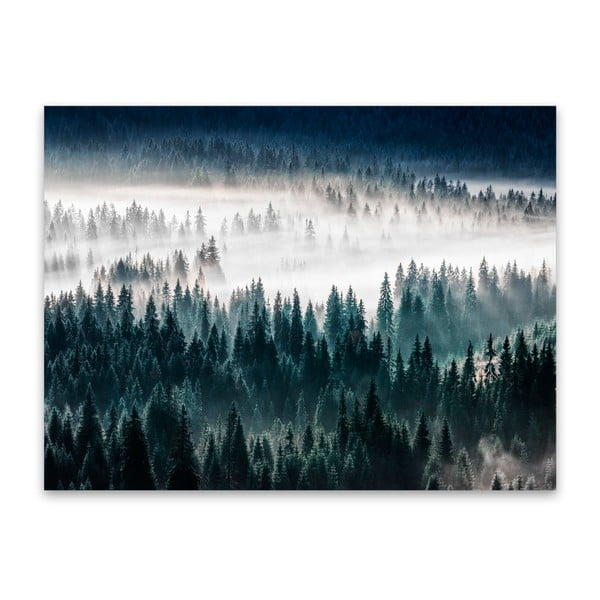 Obraz Styler Glasspik Misty Forest, 80x120 cm
