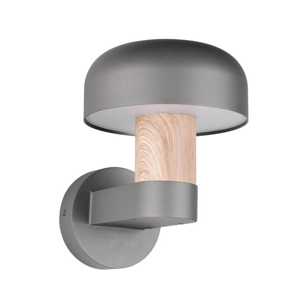 Zewnętrzna lampa ścienna (wysokość 24,5 cm) Fraser – Trio-image-4