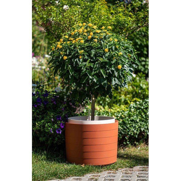 Brązowo-czerwona doniczka z systemem nawadniania Plastia Berberis, ø 55 cm-image-1