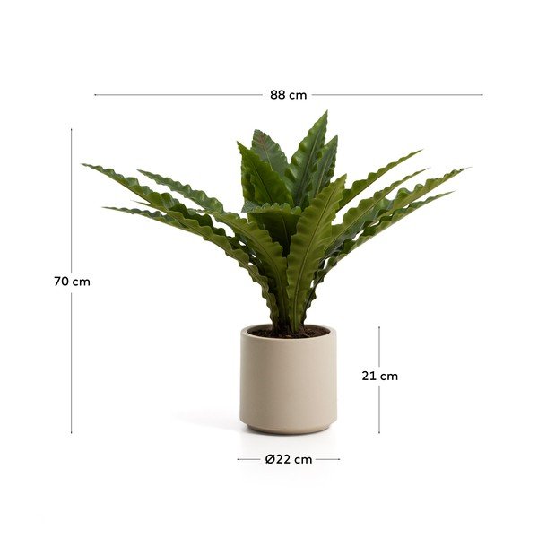 Sztuczny sukulent (wysokość 70 cm) Neottopteris – Kave Home-image-4