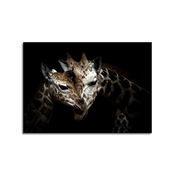 Obraz Styler Glas Animals Giraffe, 70x100 cm