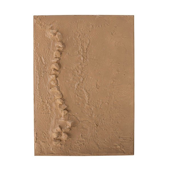 Obraz 50x70 cm Sisken – Bloomingville