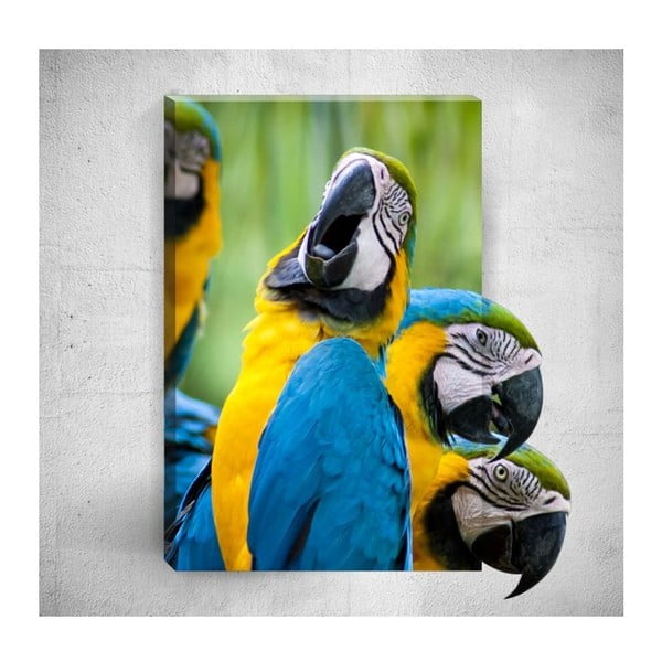Obraz 3D Mosticx Parrots, 40x60 cm
