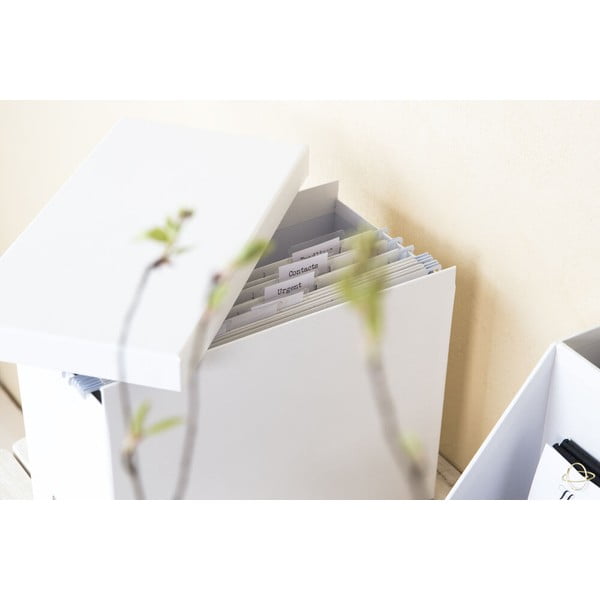 Kartonowy organizer na dokumenty Johan – Bigso Box of Sweden-image-1