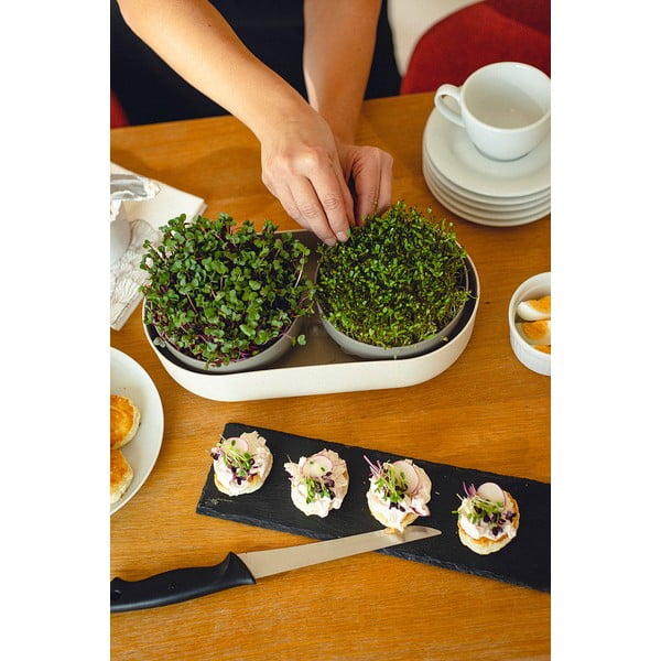 Zestaw misek do kiełkowania Duża farma Microgreens & Regrow − Plastia-image-3