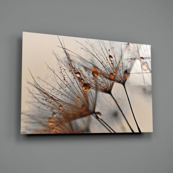 Szklany obraz Insigne Cinnamon Dandelion, 72x46 cm-image-3